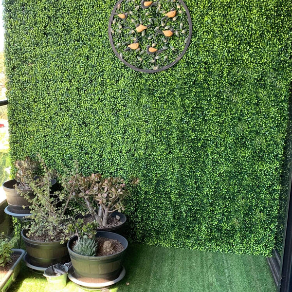Portable Mixed Boxwood Hedge 2m x 1m - UVTEX Certified UV Resistant - image 19