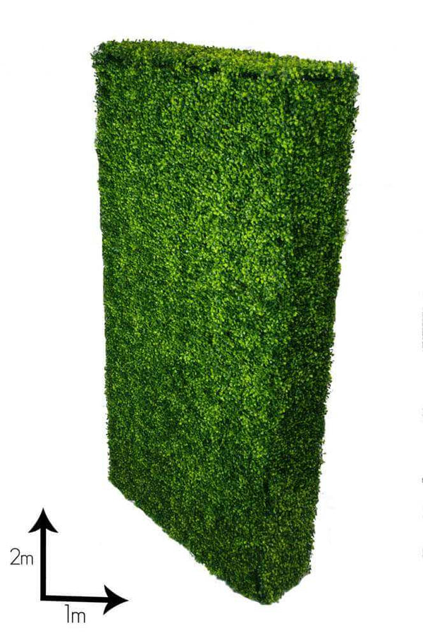 Portable Mixed Boxwood Hedge 2m x 1m - UVTEX Certified UV Resistant — gallery image 9
