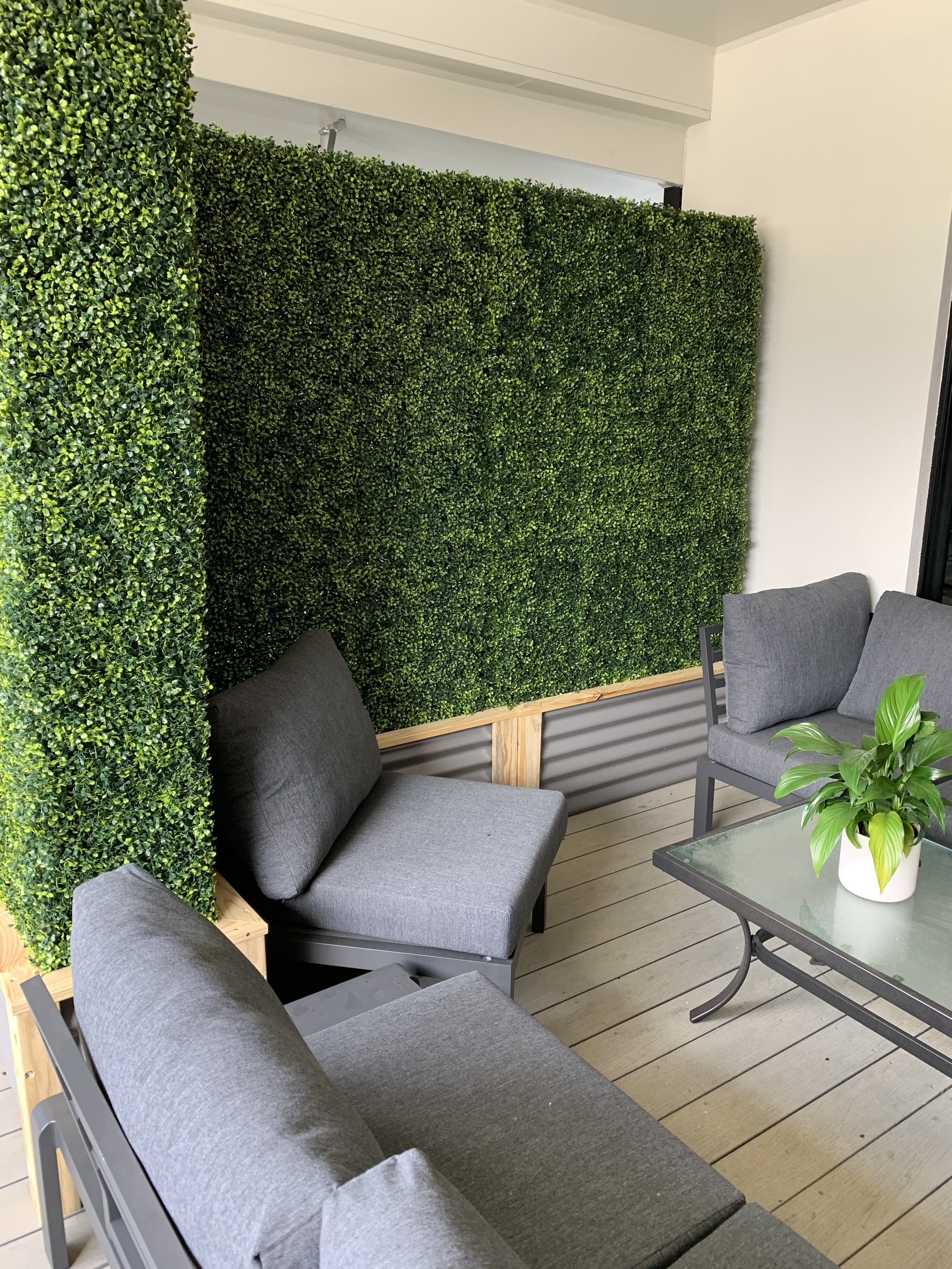 Portable Mixed English Boxwood Hedge 1.5m x 1.5m - UVTEX Certified UV Resistant - Designer Vertical Gardens artificial garden wall plants artificial green wall australia
