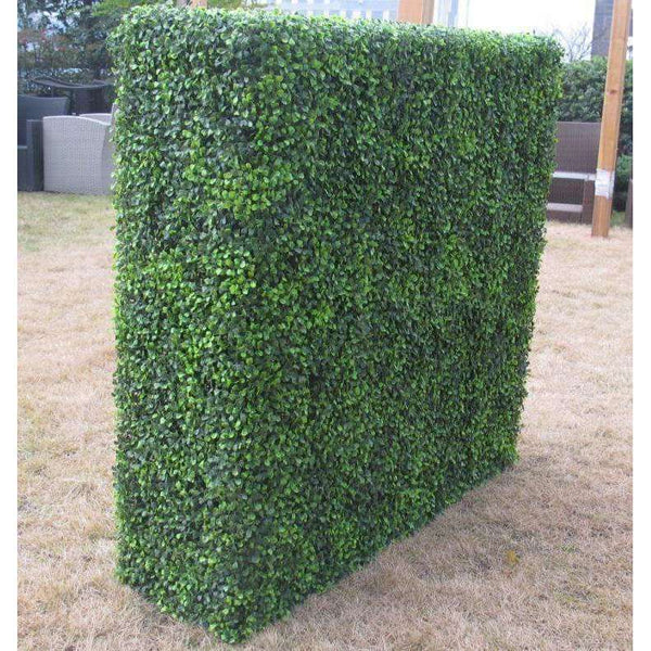 Portable Mixed English Boxwood Hedge 1.5m x 1.5m - UVTEX Certified UV Resistant - image 2