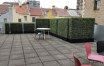 Portable Pittosporum Buxus Hedge 1m x 1m - UVTEX Certified UV Resistant - Designer Vertical Gardens artificial garden wall plants artificial green wall australia