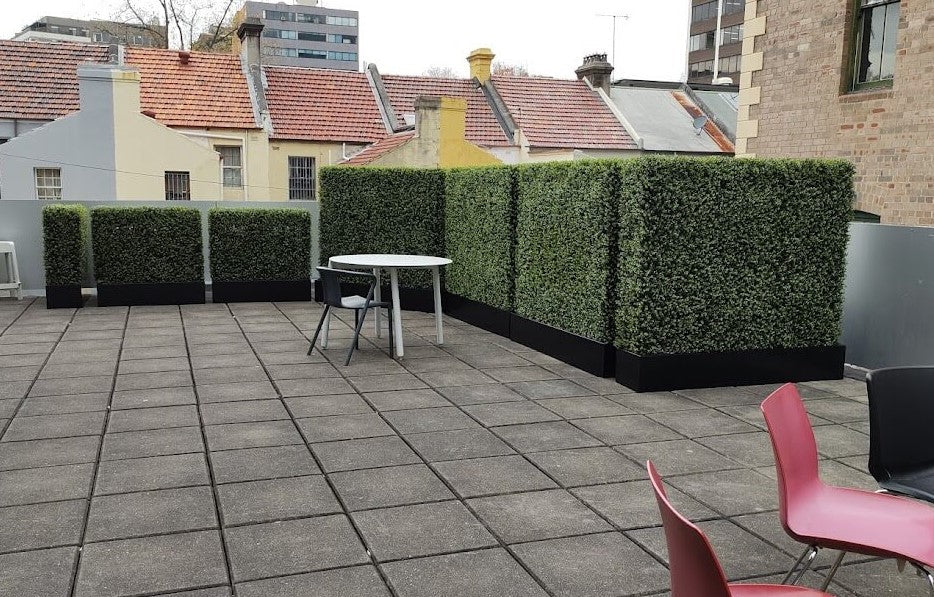 Portable Pittosporum Buxus Hedge 1m x 1m - UVTEX Certified UV Resistant - Designer Vertical Gardens artificial garden wall plants artificial green wall australia