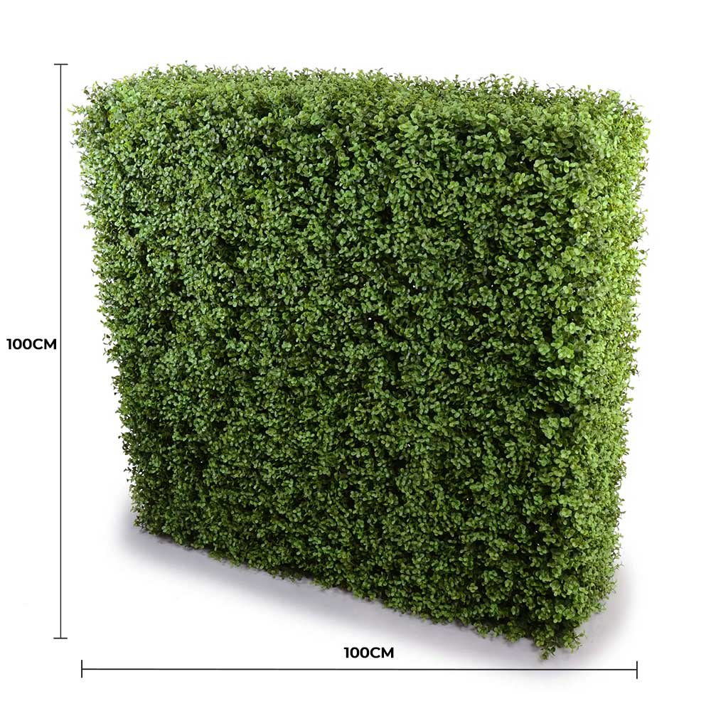 Artificial green wall panel with dimensions on a white background