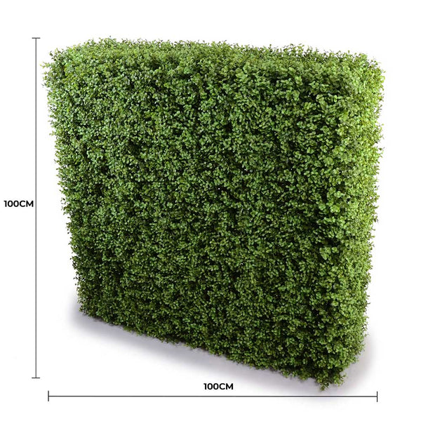 Portable Pittosporum Buxus Hedge 1m x 1m - UVTEX Certified UV Resistant — gallery image 5