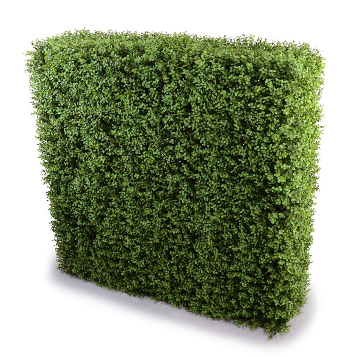 Portable Pittosporum Buxus Hedge 1m x 1m - UVTEX Certified UV Resistant — gallery image