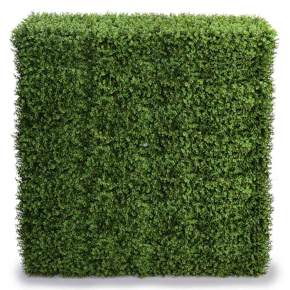 Square artificial green hedge panel on a white background