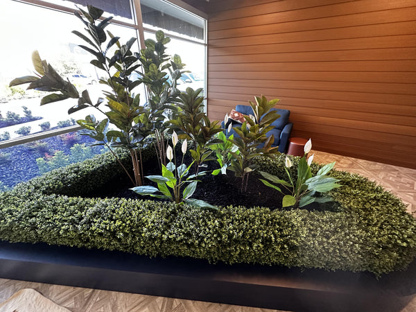 Portable Pittosporum Hedge 1m x 50cm - UVTEX Certified UV Resistant — gallery image 4
