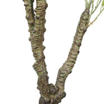 Potted Artificial Eucalyptus Tree (White Box Eucalyptus Albens) 120cm - Designer Vertical Gardens Articial Trees Artificial Trees