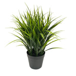 Potted Artificial Grass Plant Dense Green Grass UV Resistant 38cm - Designer Vertical Gardens artificial green wall sydney artificial vertical garden melbourne