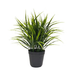 Potted Artificial Grass Plant Dense Green Grass UV Resistant 38cm - Designer Vertical Gardens artificial green wall sydney artificial vertical garden melbourne