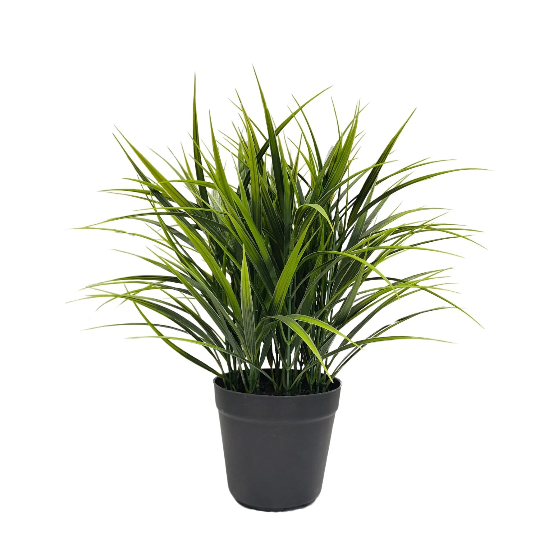 Potted Artificial Grass Plant Dense Green Grass UV Resistant 38cm - Designer Vertical Gardens artificial green wall sydney artificial vertical garden melbourne