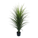 Potted plant with long green leaves on a white background