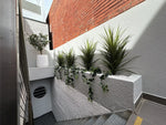 Modern outdoor staircase with plants and a white wall.