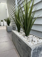 Plants in concrete planters with white stones against a modern building facade.