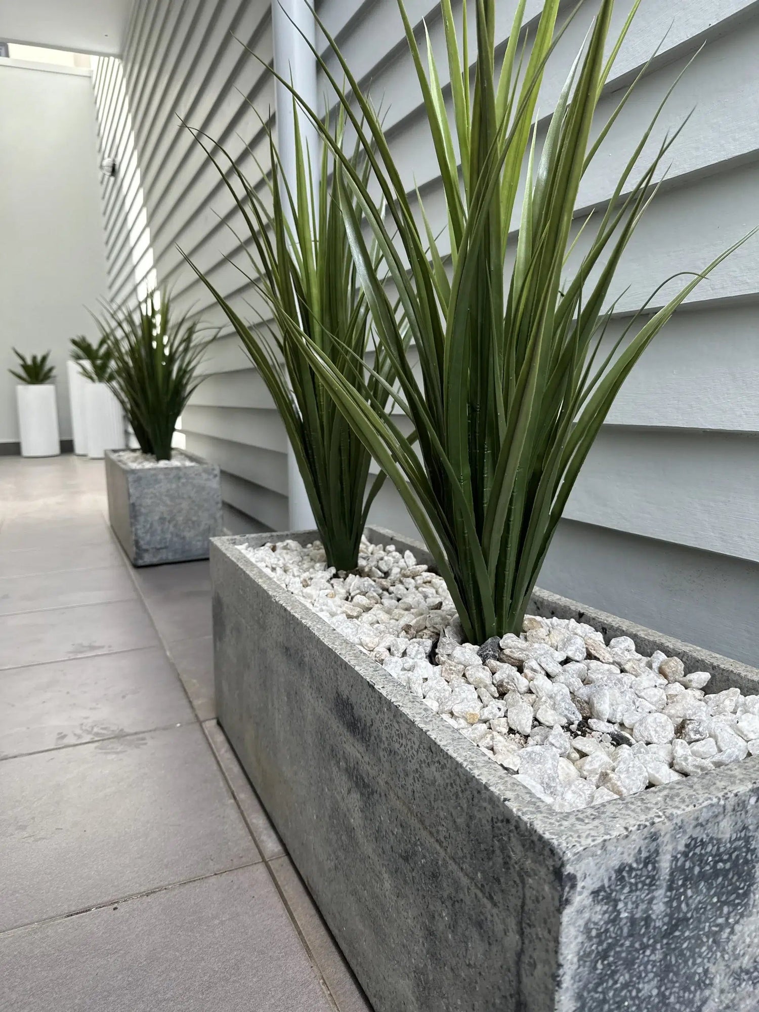 Plants in concrete planters with white stones against a modern building facade.
