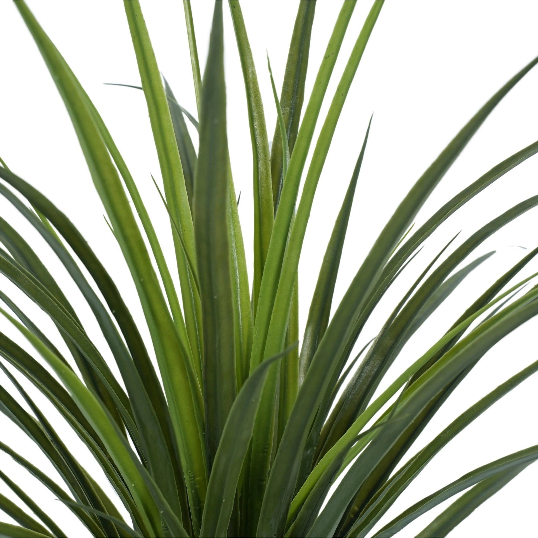 Potted Artificial Long Grass (Yucca Grass) 75cm UV Resistant - Designer Vertical Gardens Artificial Trees Dracena & Artificial Yucca