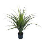 Potted Artificial Long Grass (Yucca Grass) 75cm UV Resistant - Designer Vertical Gardens Artificial Trees Dracena & Artificial Yucca