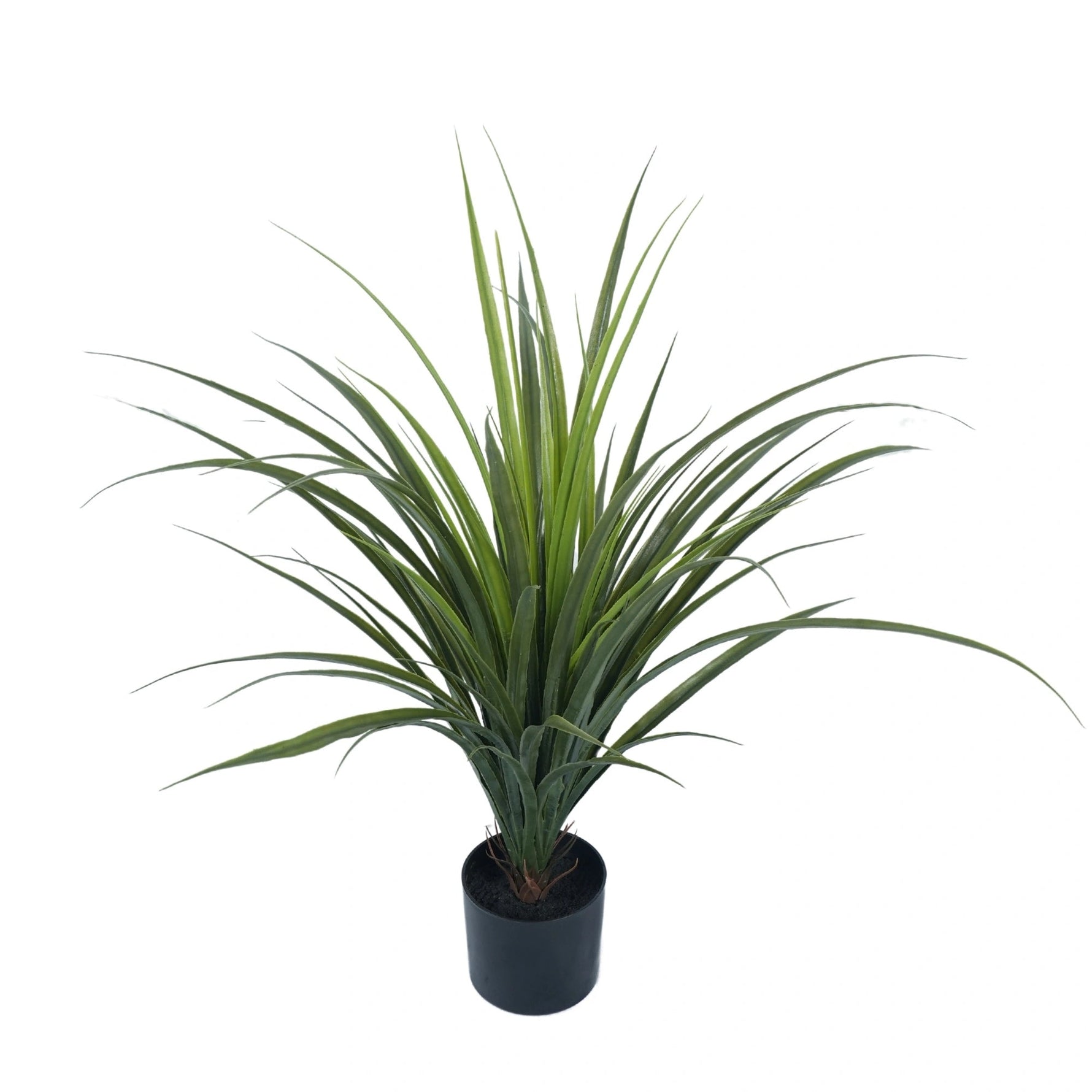 Potted Artificial Long Grass (Yucca Grass) 75cm UV Resistant - Designer Vertical Gardens Artificial Trees Dracena & Artificial Yucca