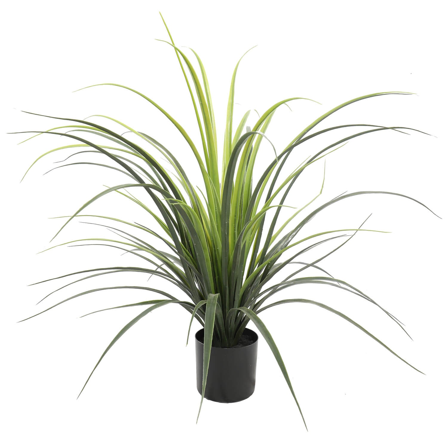 Potted Artificial Long Grass (Yucca Grass) 75cm UV Resistant - Designer Vertical Gardens Artificial Trees Dracena & Artificial Yucca