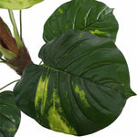 Close-up of large green leaves with a white background