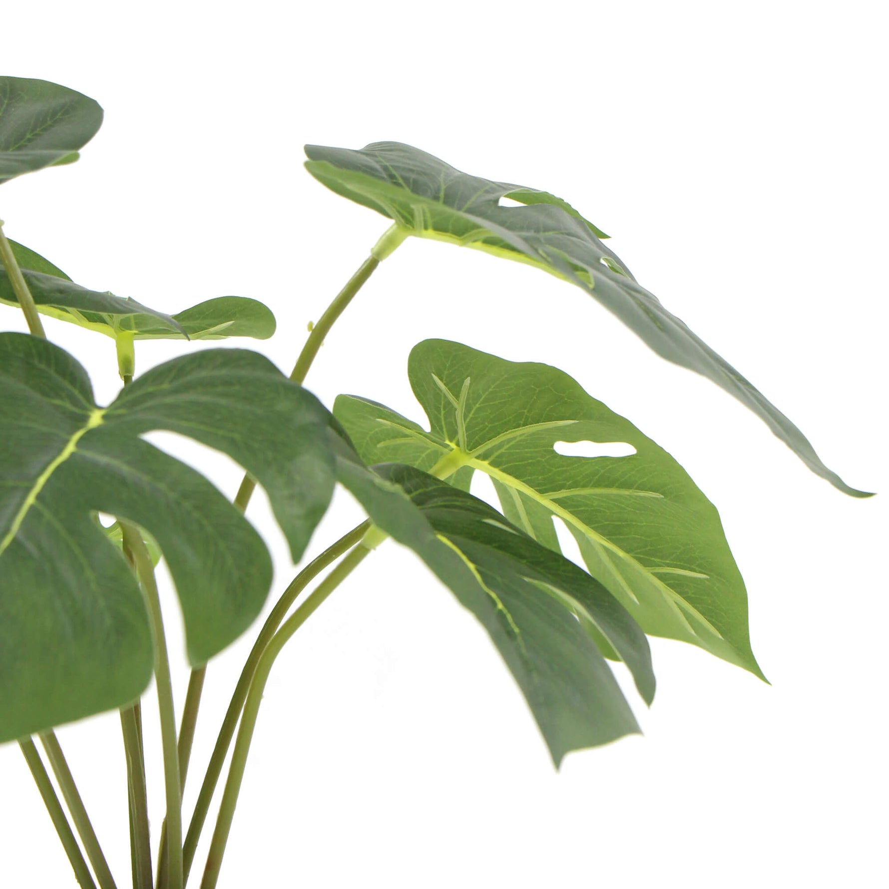 Potted Artificial Split Philodendron Plant With Real Touch Leaves 40cm - Designer Vertical Gardens Artificial Shrubs and Small plants