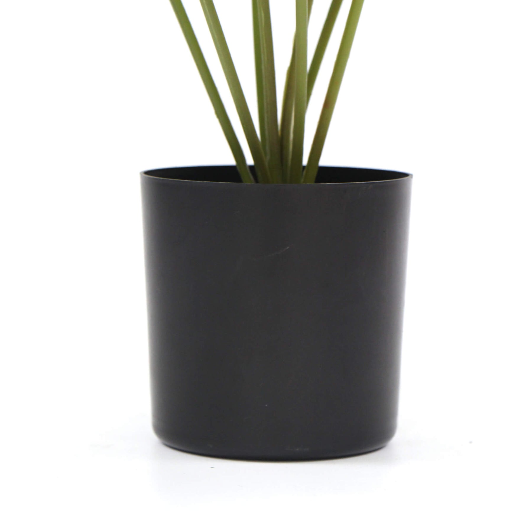 Potted Artificial Split Philodendron Plant With Real Touch Leaves 40cm - Designer Vertical Gardens Artificial Shrubs and Small plants