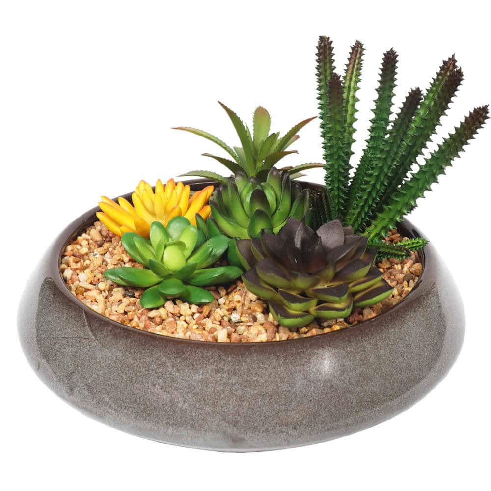 Faux succulent plants in a decorative pot with pebbles on a white background