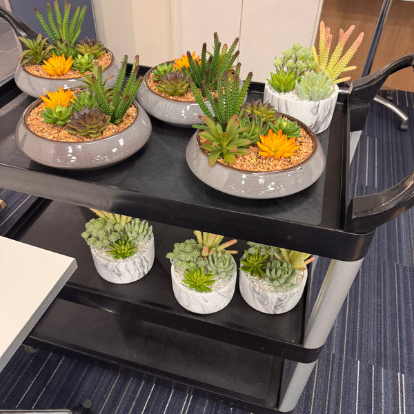 Potted Artificial Succulents with Round Decorative Bowl 19cm - image 5