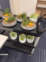 Black rolling cart with various potted plants on a carpeted floor.
