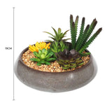 Faux succulent and cactus arrangement in a concrete pot with a 19cm measurement label.