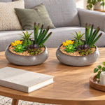 Potted Artificial Succulents with Round Decorative Bowl 19cm - Designer Vertical Gardens artificial succulents Artificial Trees