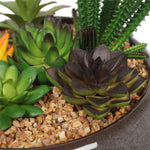Potted succulent plant with various types of succulents and pebbles.
