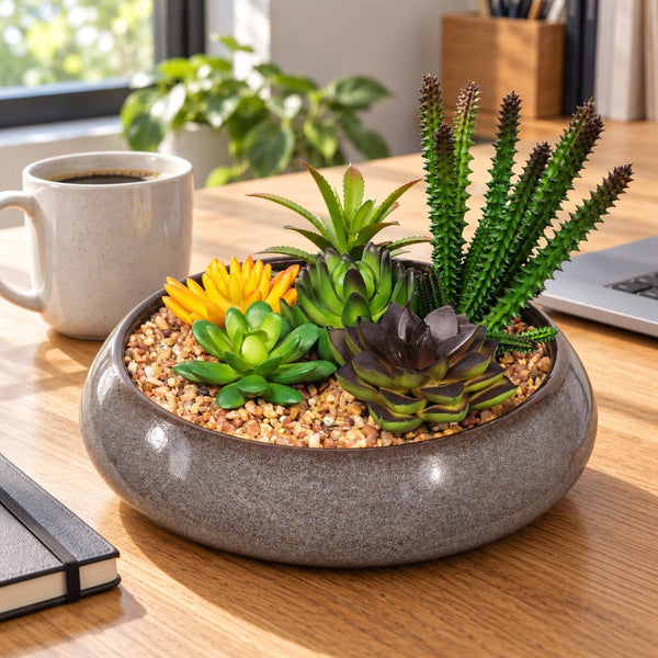 Potted Artificial Succulents with Round Decorative Bowl 19cm — gallery image 10