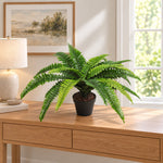 Potted Natural Green Artificial Boston Fern (50cm high 70cm wide) - Designer Vertical Gardens Artificial Shrubs and Small plants Artificial Trees