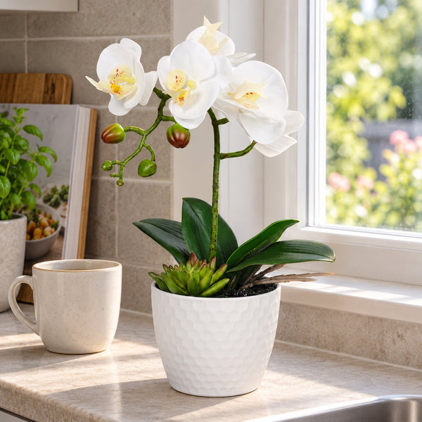 Potted Single Stem White Phalaenopsis Orchid with Decorative Pot 35cm — gallery image 10
