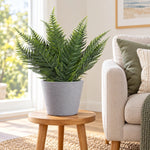 Premium Artificial Australian Fern UV Resistant 50cm - Designer Vertical Gardens fake fern fake plant stem