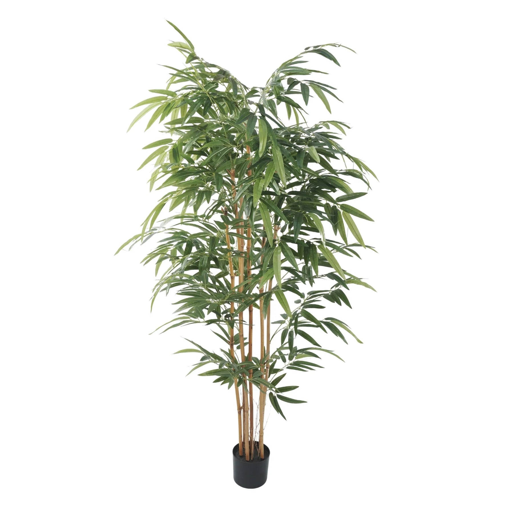 Premium Artificial Bamboo Plant With Natural Canes 180cm - Designer Vertical Gardens Articial Trees Artificial Trees
