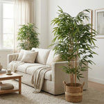 Premium Artificial Bamboo Plant With Natural Canes 180cm - Designer Vertical Gardens Articial Trees Artificial Trees