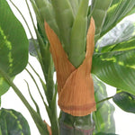 Close-up of a plant with green leaves and a brown flower bud.