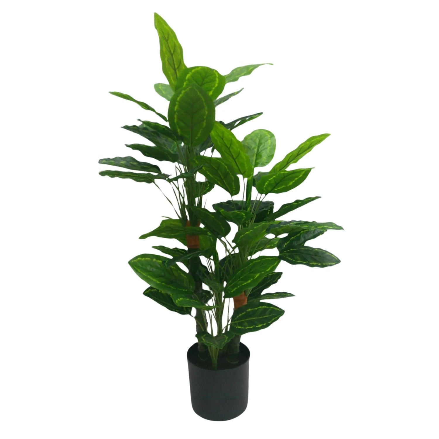 Premium Artificial Cordyline Fructicosa Green / Ti Plant 90cm - Designer Vertical Gardens Artificial Shrubs and Small plants Artificial Trees