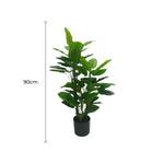 Potted plant with a measurement label indicating 90cm on a white background