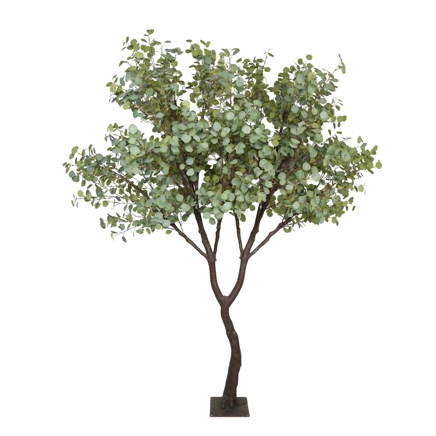Premium artificial eucalyptus tree 270cm full view