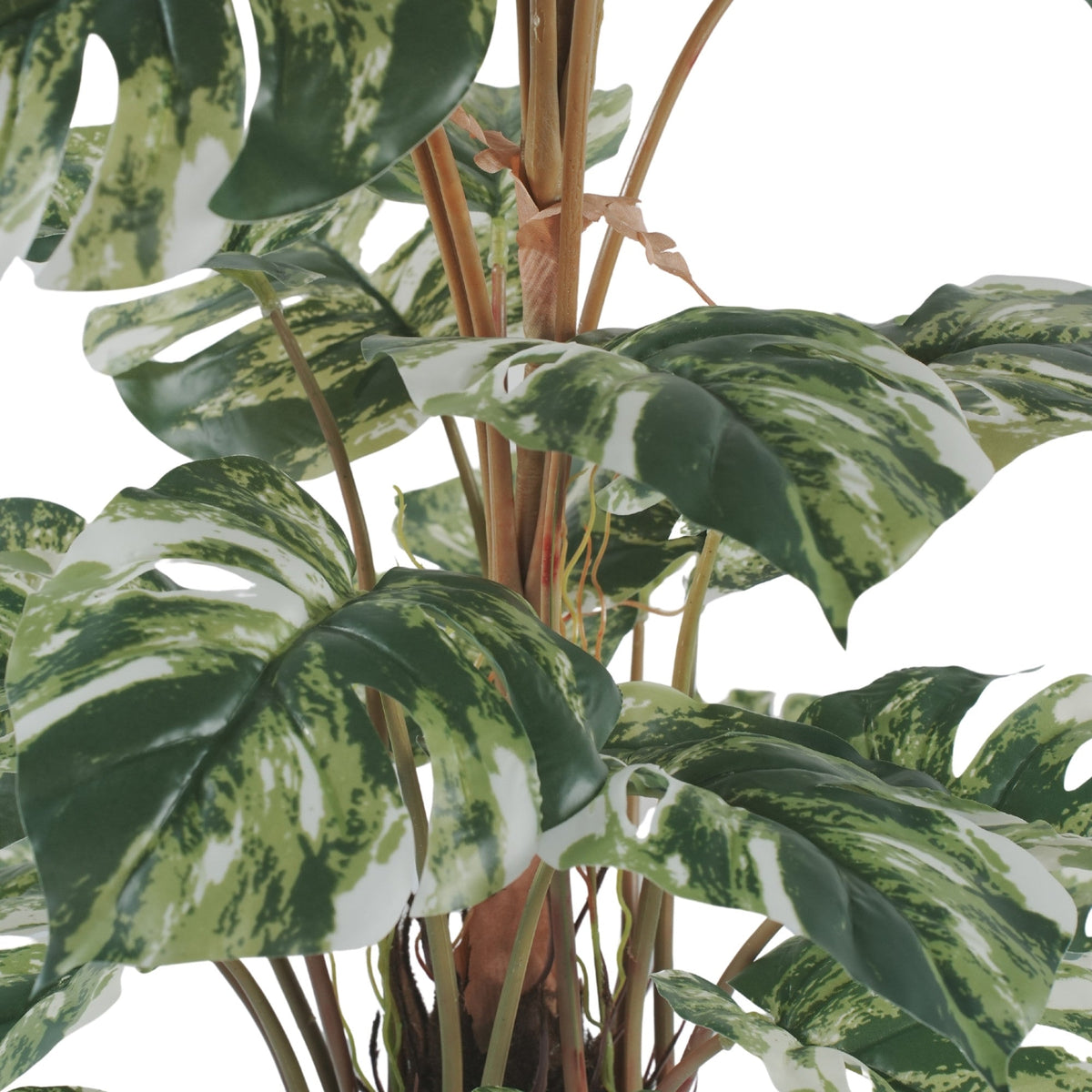 Premium Artificial Monstera Deliciosa / Variegated Monstera (Swiss Cheese) 90cm - Designer Vertical Gardens Artificial Shrubs and Small plants