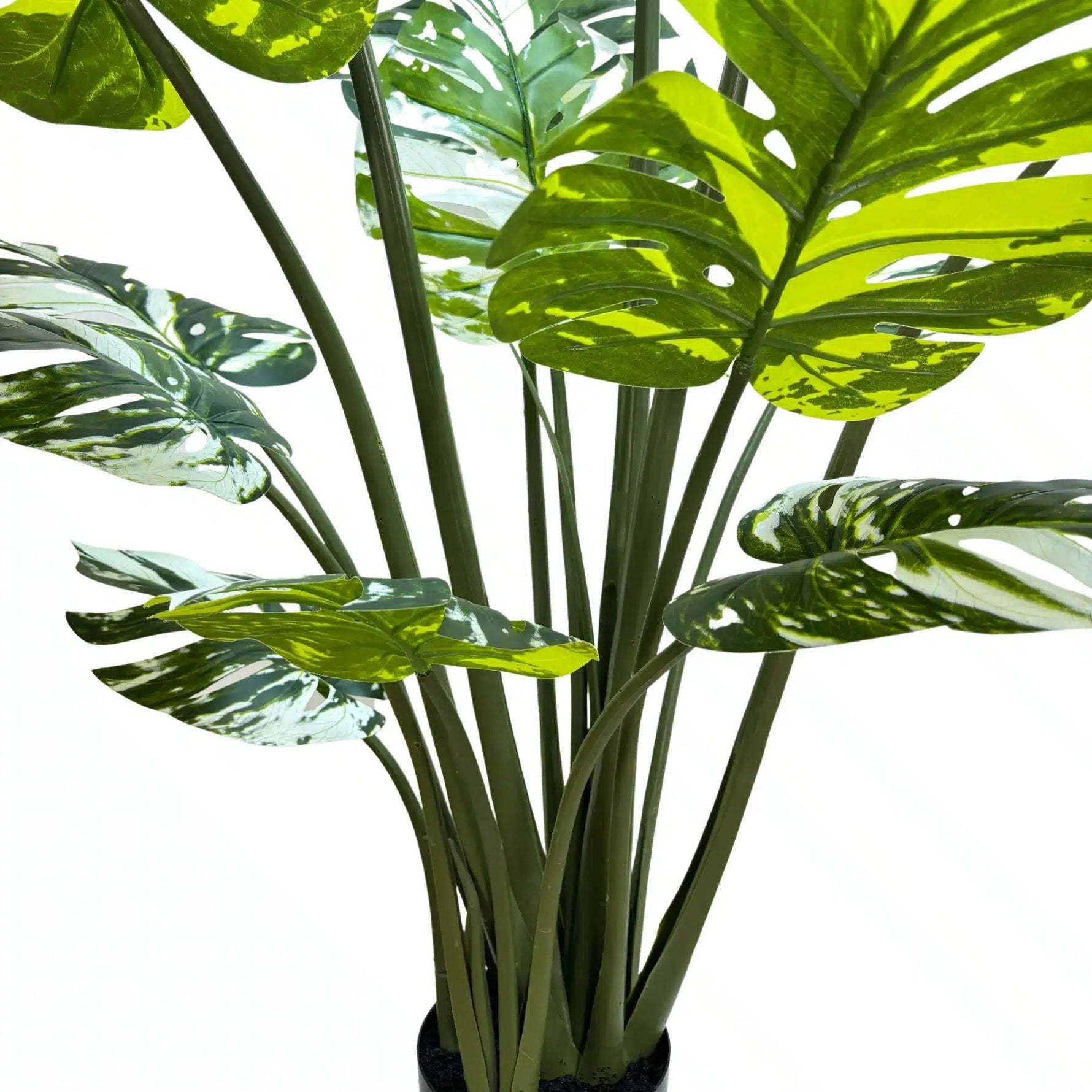 Premium Artificial Potted Monstera Albo 150cm - Designer Vertical Gardens Artificial Shrubs and Small plants Artificial Trees