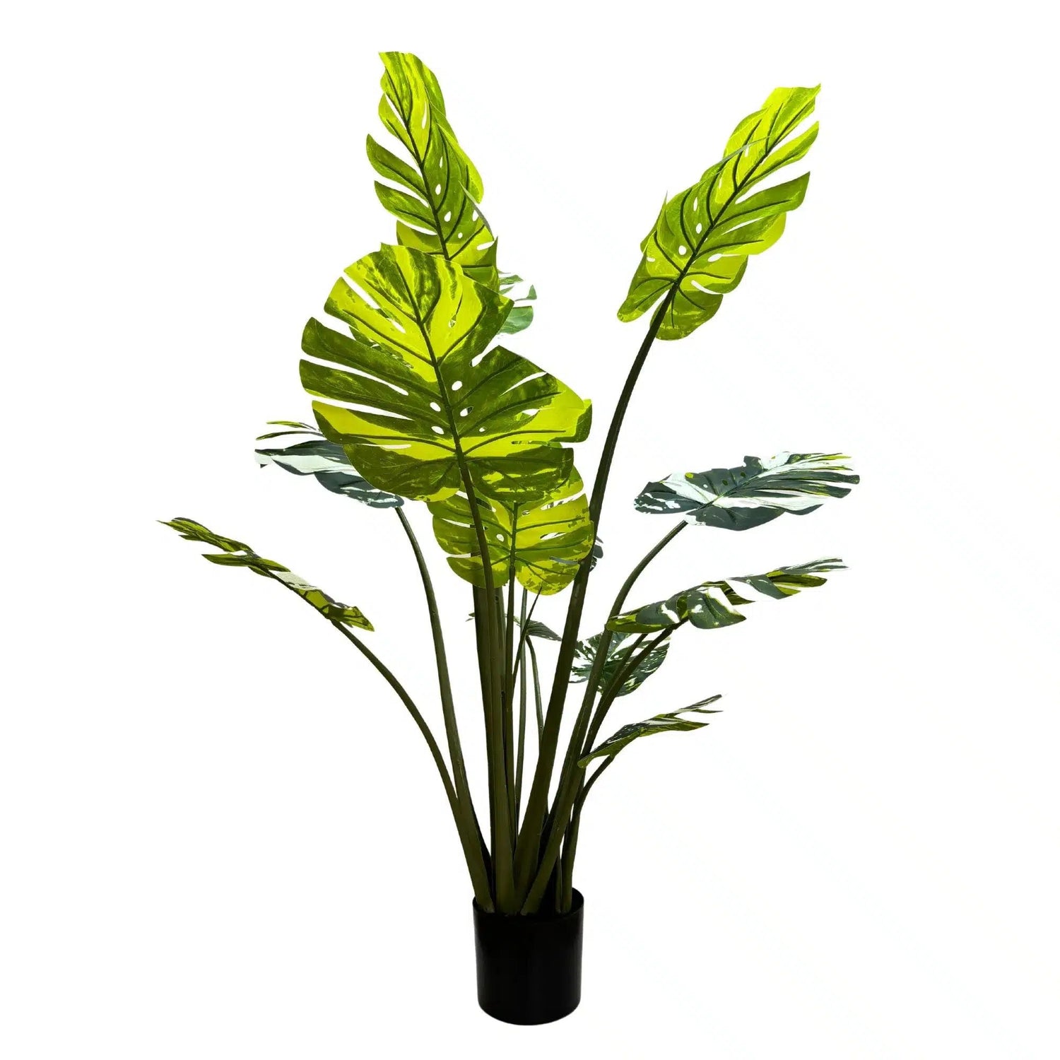 Premium Artificial Potted Monstera Albo 150cm - Designer Vertical Gardens Artificial Shrubs and Small plants Artificial Trees