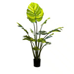 Premium Artificial Potted Monstera Albo 150cm - Designer Vertical Gardens Artificial Shrubs and Small plants Artificial Trees