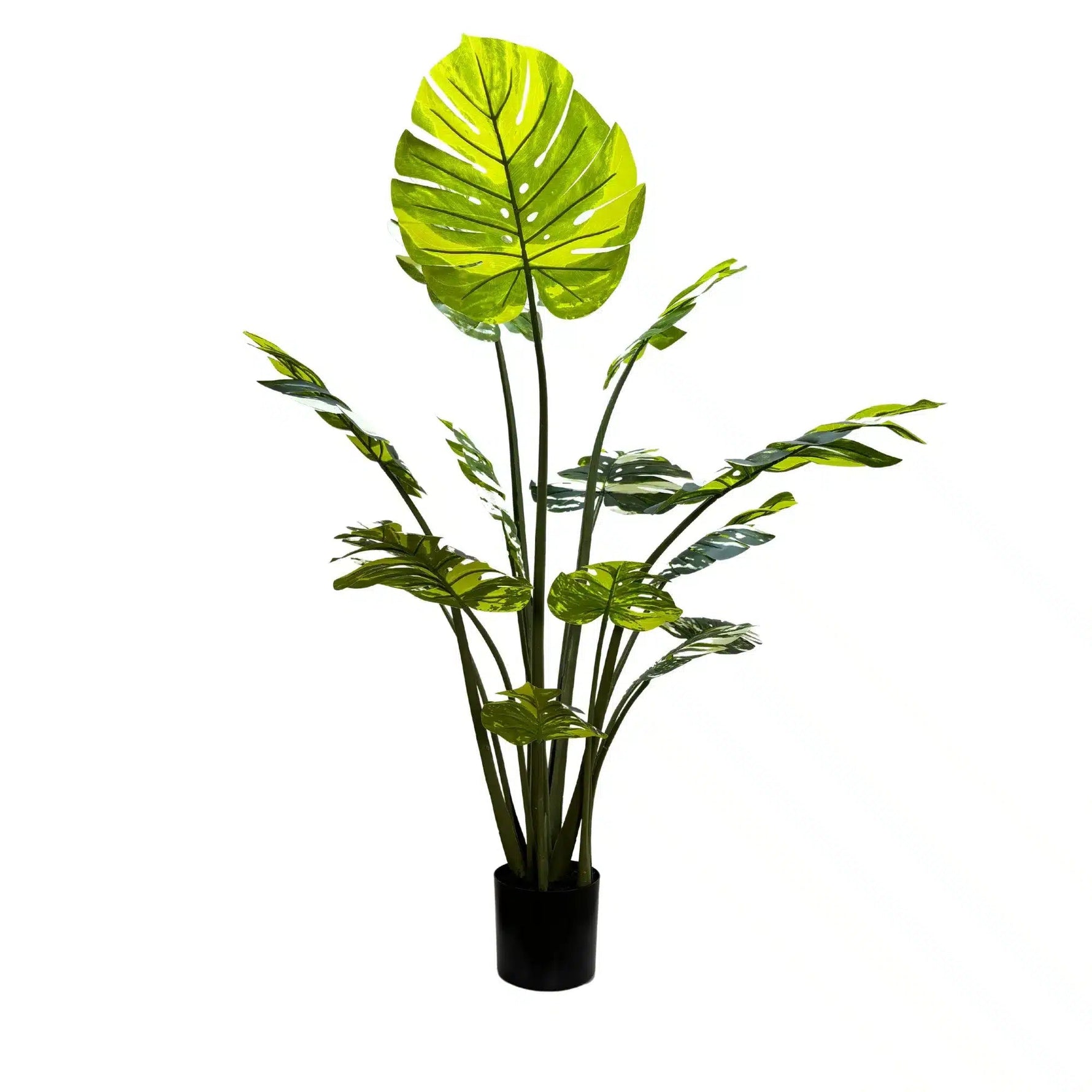 Artificial potted plant with large green leaves on a white background