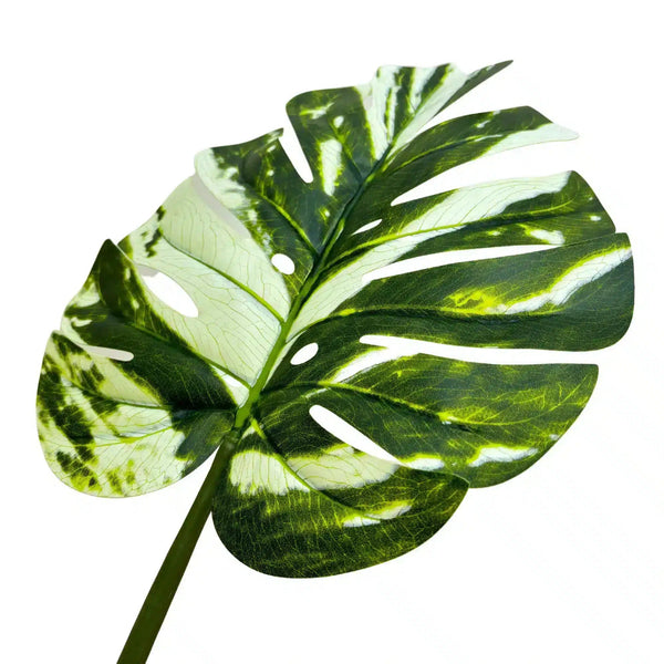 Premium Artificial Potted Monstera Albo 150cm — gallery image 12