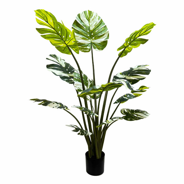 Premium Artificial Potted Monstera Albo 150cm — gallery image 9