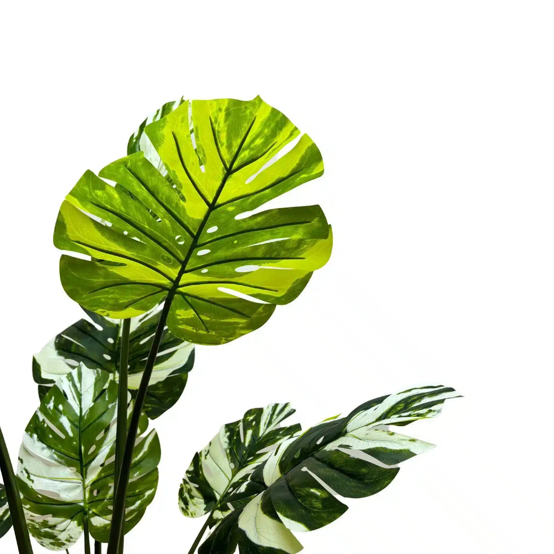 Artificial green leaves on a white background